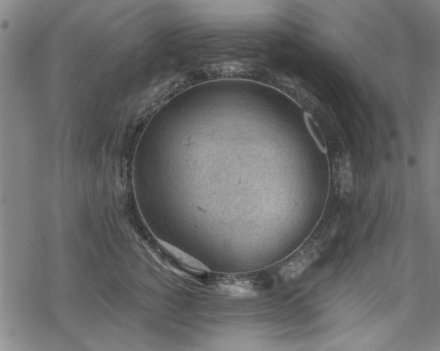 X0000068830760200605051236