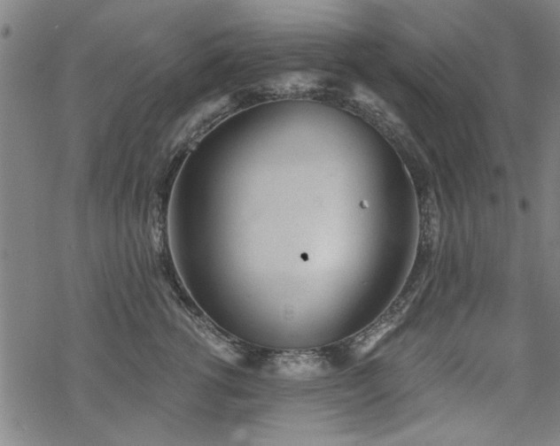 X0000068830762200605051236