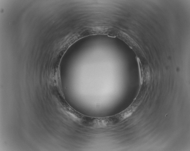 X0000068830764200605051236