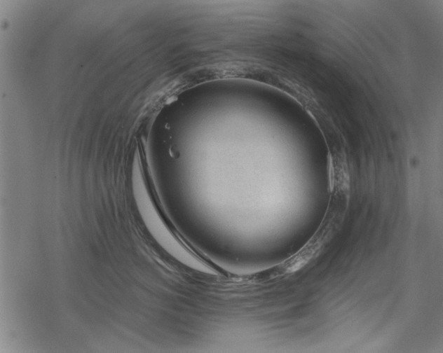 X0000068830766200605051236