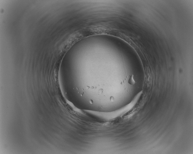 X0000068830767200605051236