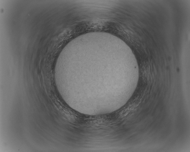 X0000068830769200605051235