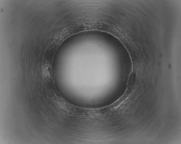 X0000068830770200605051235