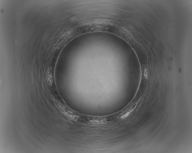 X0000068830771200605051235