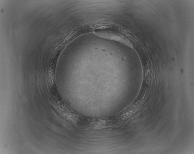 X0000068830772200605051235