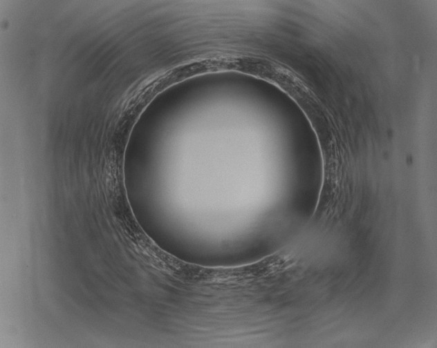 X0000068830773200605051235