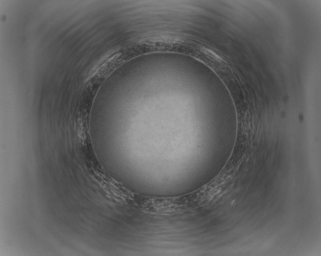 X0000068830774200605051235