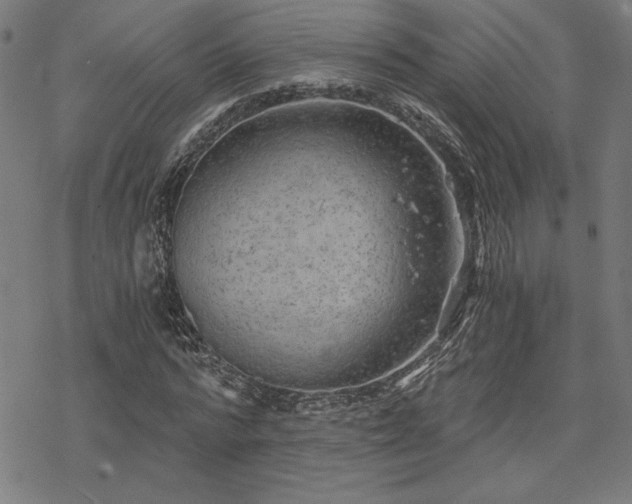 X0000068830776200605051235