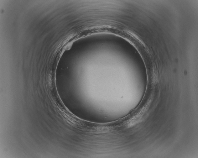 X0000068830777200605051235