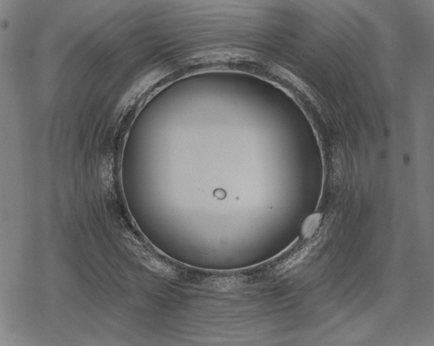 X0000068830778200605051235