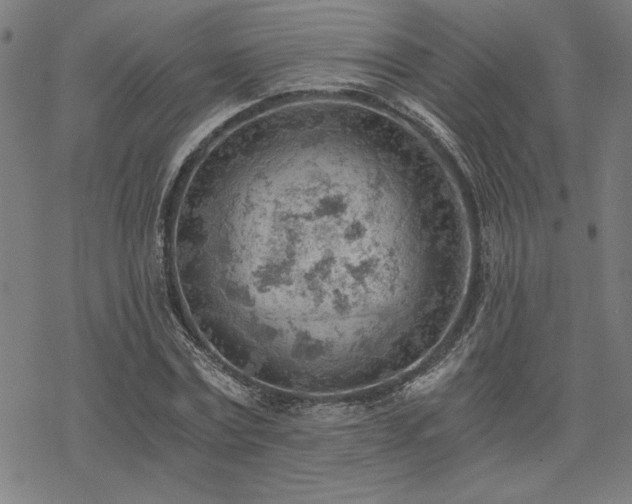 X0000068830779200605051235