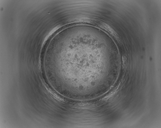 X0000068830780200605051235