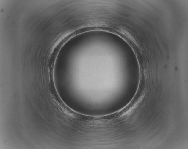 X0000068830781200605051235