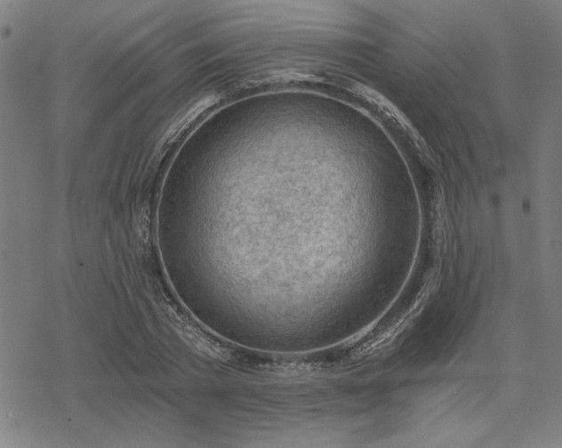 X0000068830785200605051235