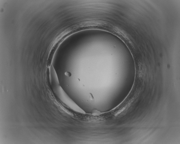 X0000068830786200605051235