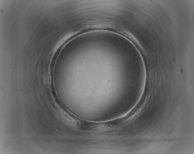 X0000068830787200605051235