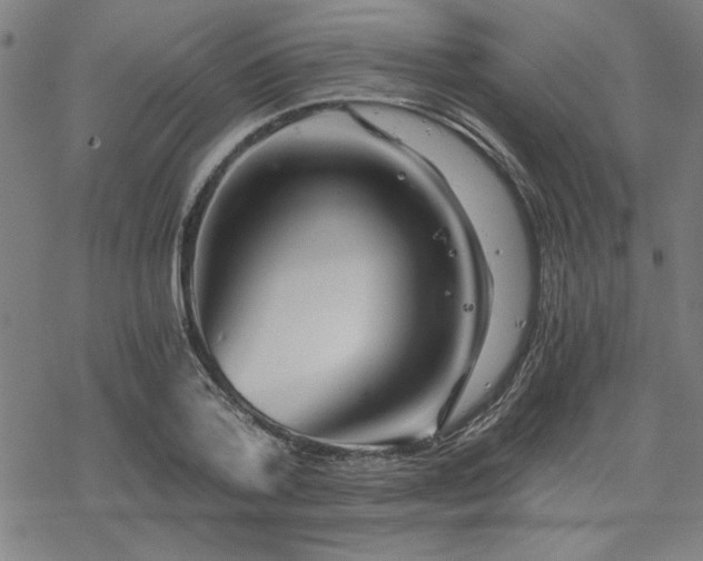 X0000068830788200605051235