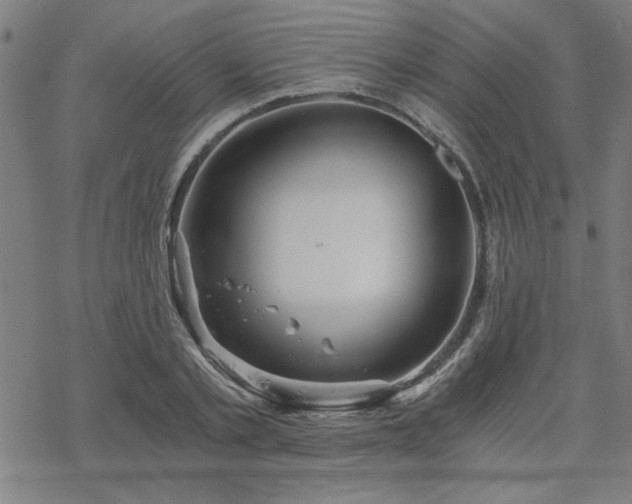 X0000068830789200605051235