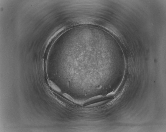 X0000068830790200605051235