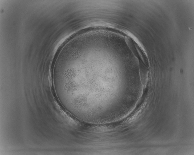 X0000068830791200605051235