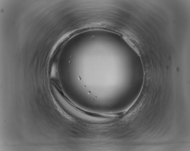 X0000068830792200605051235