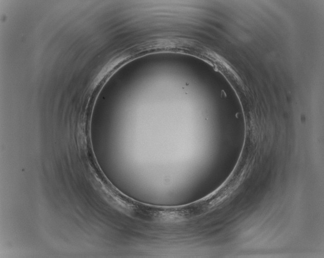 X0000068830794200605051235