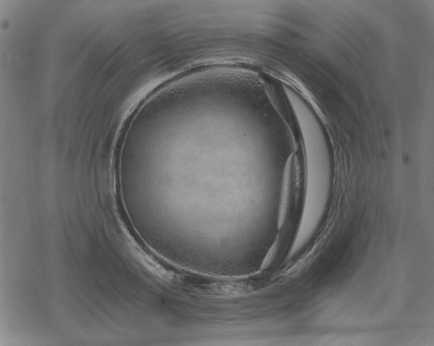 X0000068830795200605051235