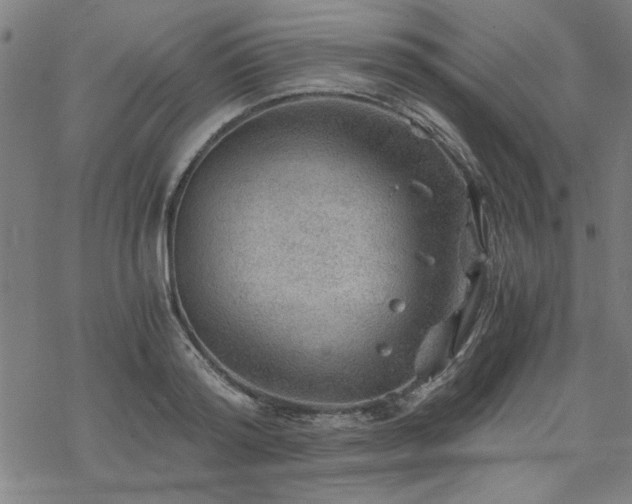 X0000068830796200605051235