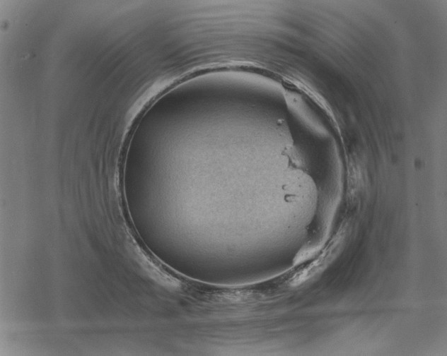 X0000068830797200605051235