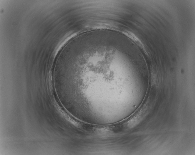 X0000068830798200605051235