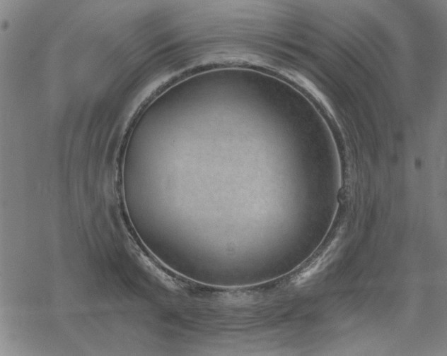 X0000068830799200605051235