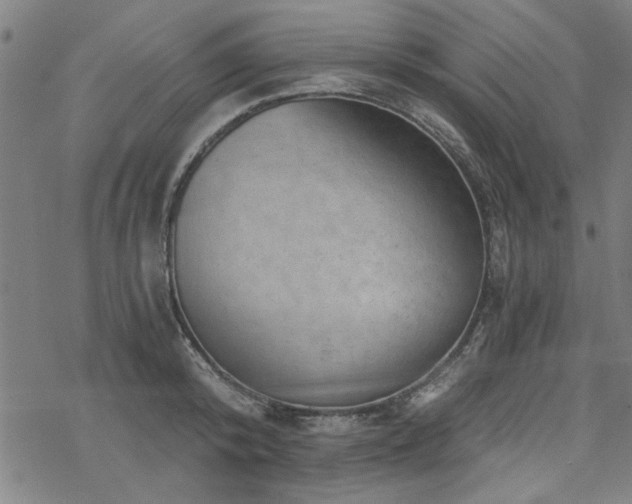 X0000068830800200605051235