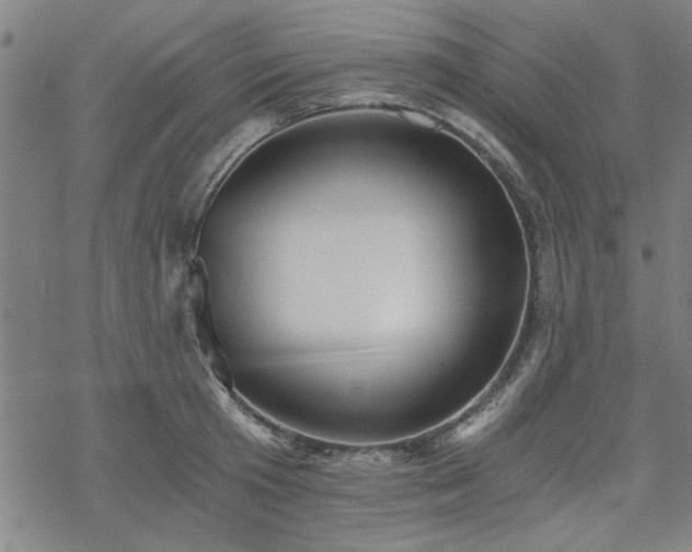 X0000068830801200605051235