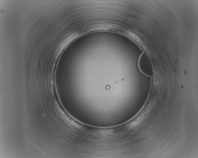 X0000068830802200605051235