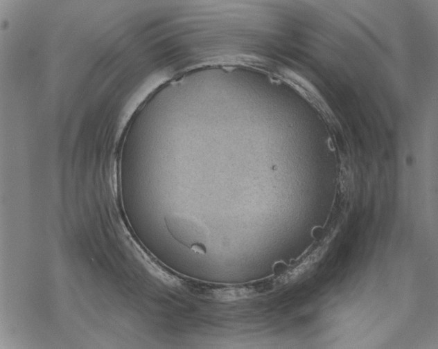 X0000068830804200605051235