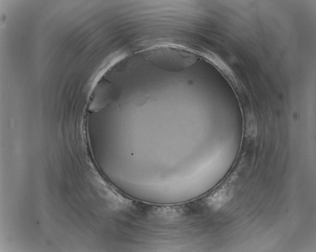 X0000068830806200605051235