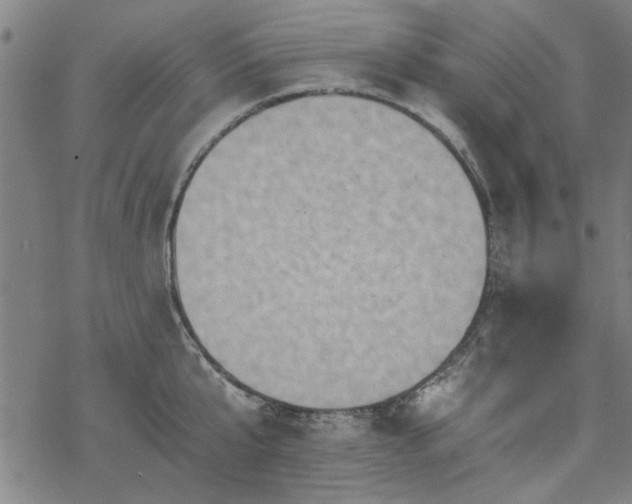 X0000068830807200605051235