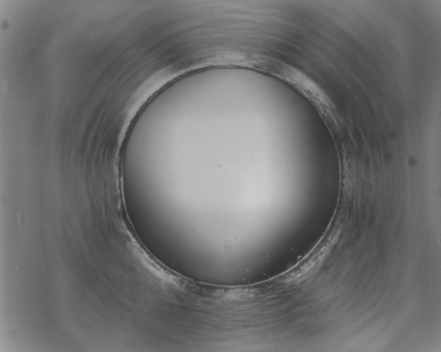 X0000068830808200605051235