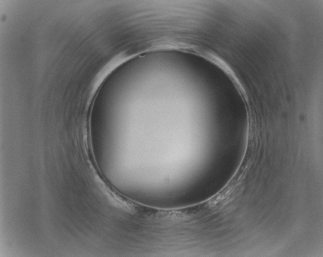 X0000068830811200605051235