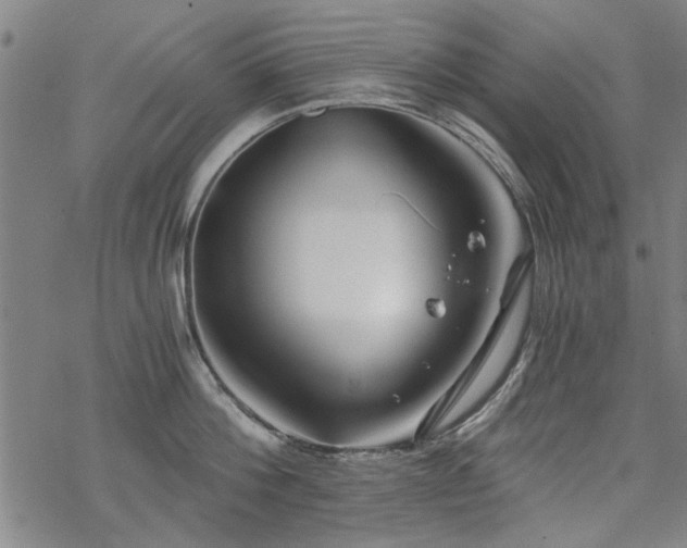 X0000068830812200605051235