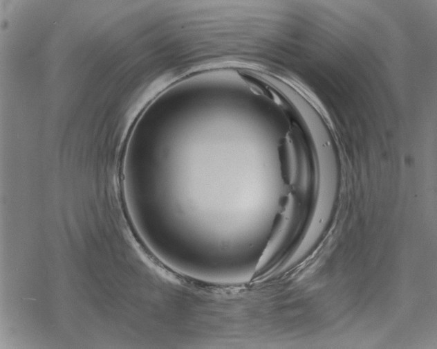 X0000068830813200605051235