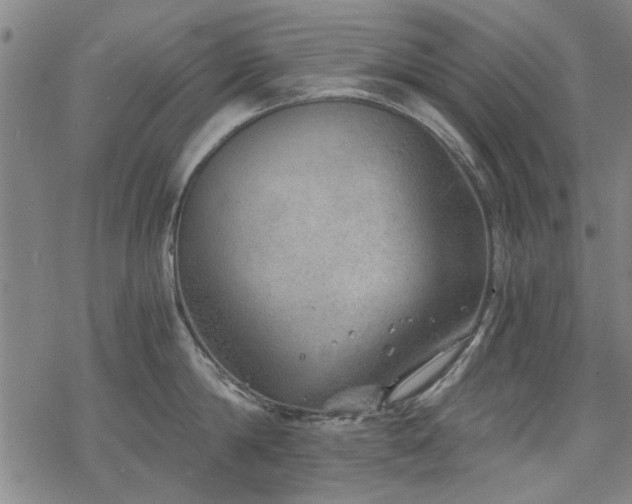 X0000068830814200605051235