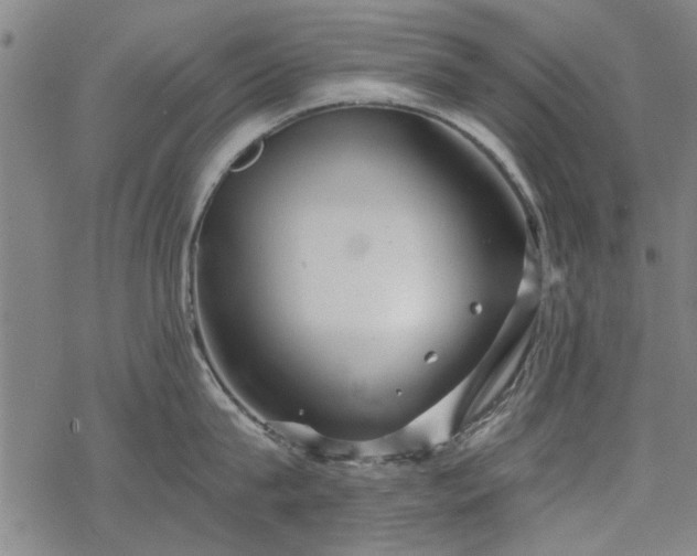 X0000068830815200605051234