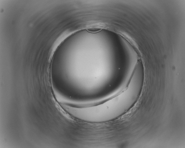 X0000068830816200605051234