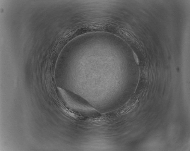 X0000068830817200605051234