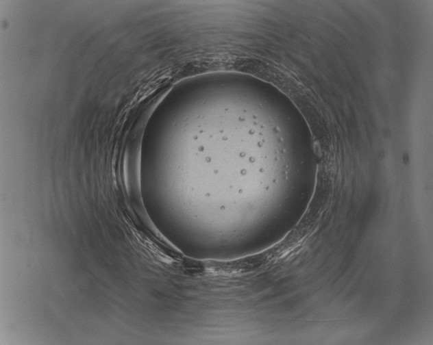 X0000068830818200605051234