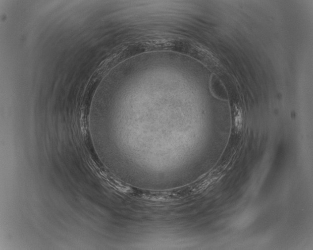 X0000068830819200605051234