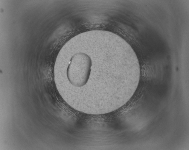 X0000068830820200605051234