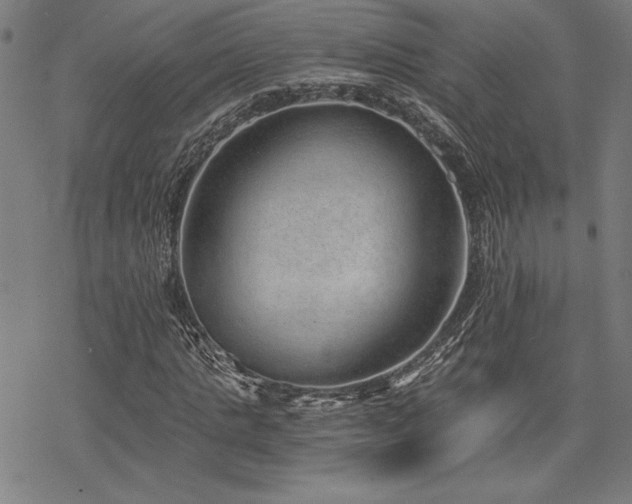 X0000068830821200605051234