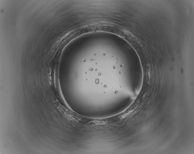 X0000068830822200605051234